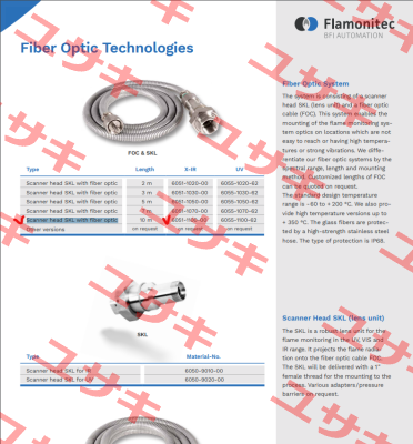 6051-1100-00 BFI AUTOMATION