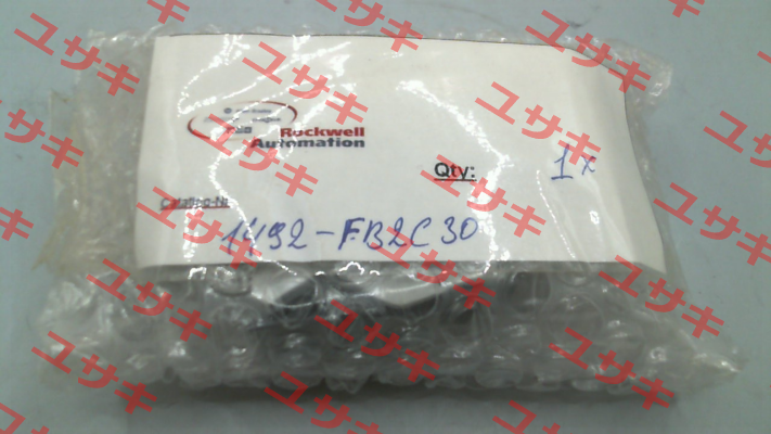 1492-FB2C30 Allen Bradley (Rockwell)