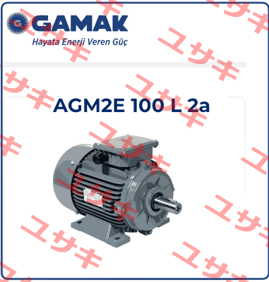 2007 177409 AGM 100 L 2 Gamak