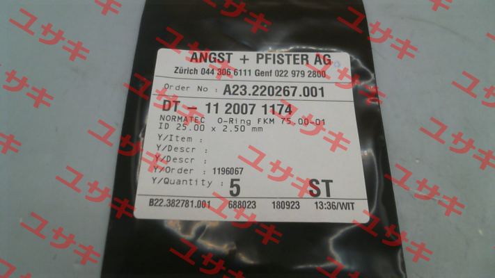 1120071174 Angst-Pfister